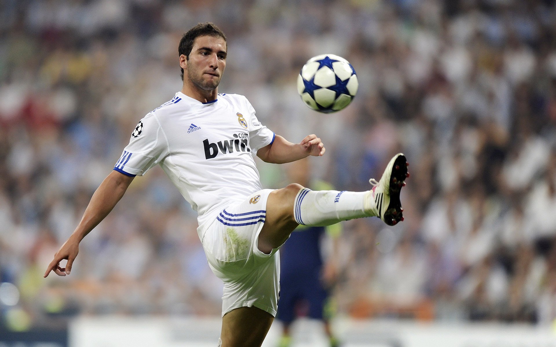 国王本地球迷组织创作加油歌曲为球队助威